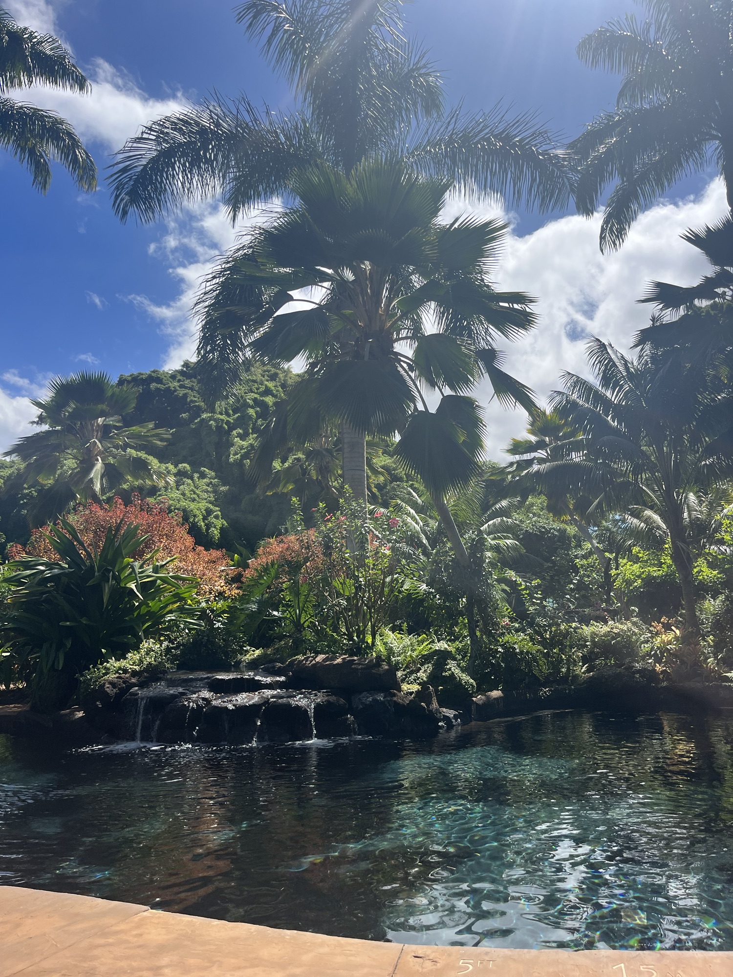 Sensei Lanai: A Review of My Experience